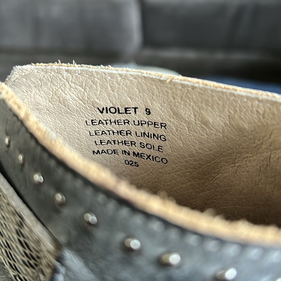 FREEBIRD by Steven Violet - Picture 6 of 7